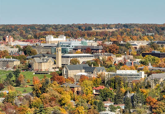 aerial photo of a town