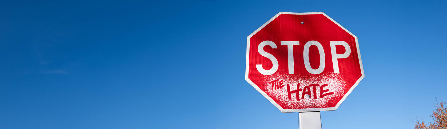 A stop sign that says "Stop the Hate"