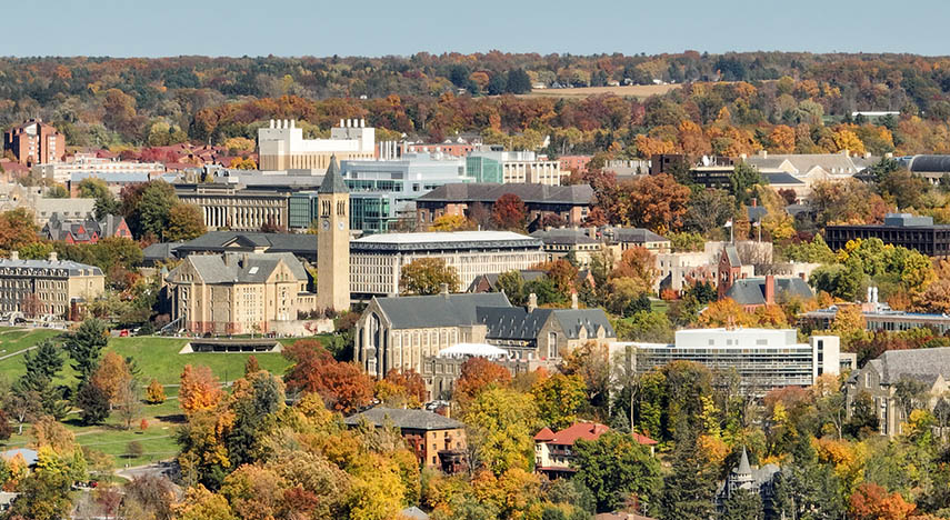 aerial view of town in new york state